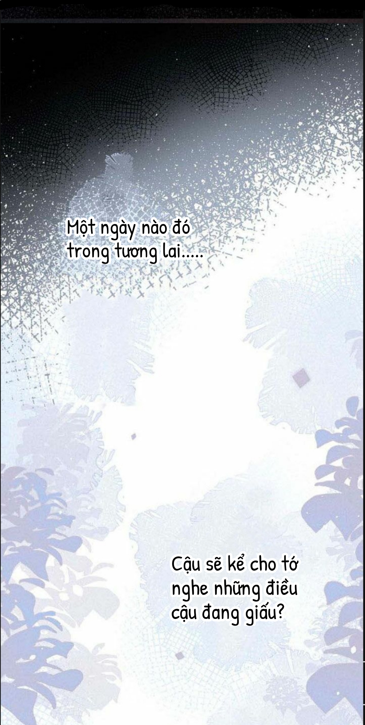 nỗi buồn của hoa cẩm tú cầu chapter 19 10