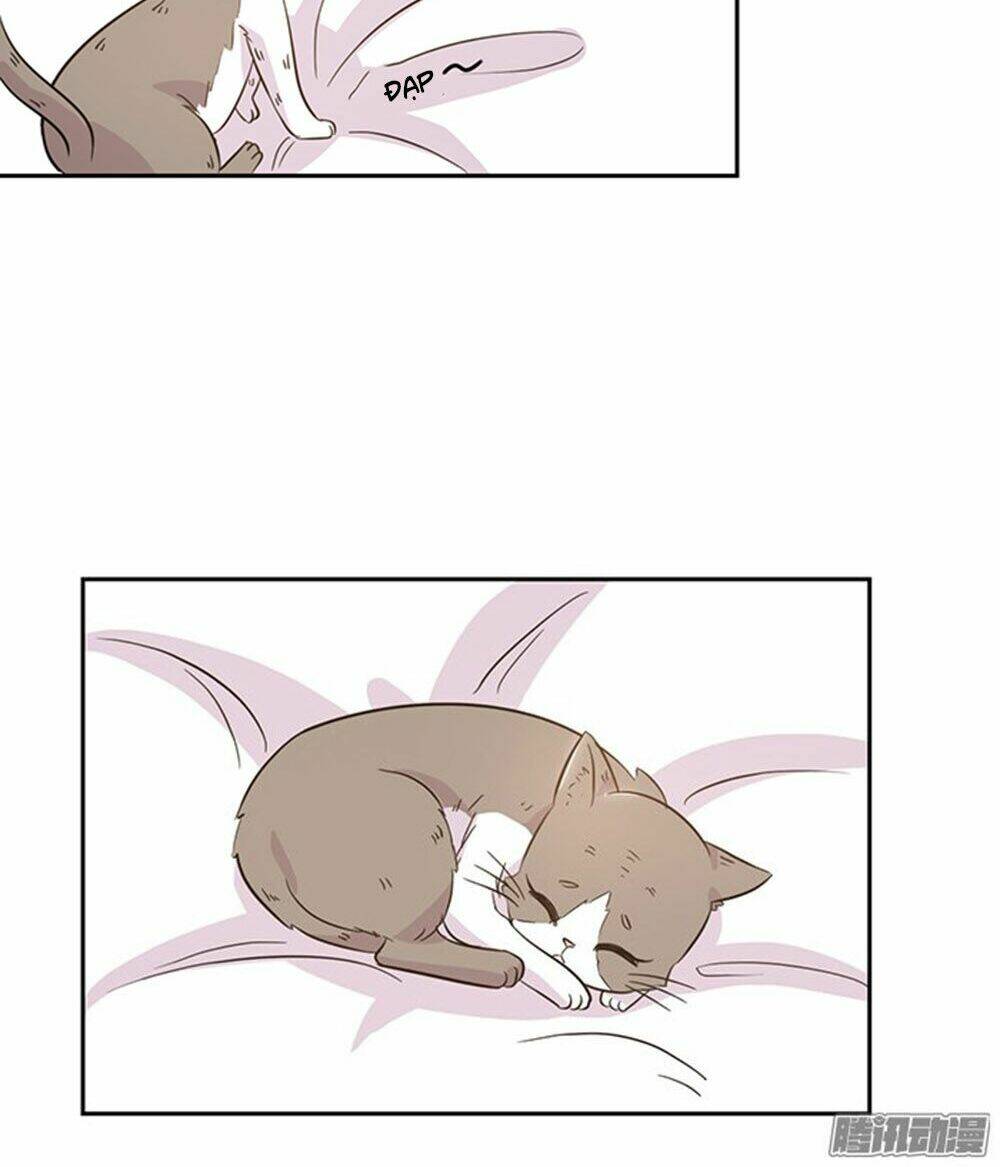 hai chú mèo totem chapter 19 10