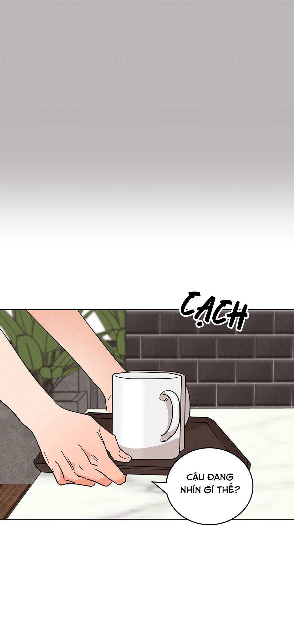 chào nhé, không làm thông gia nữa đâu! chapter 33 40