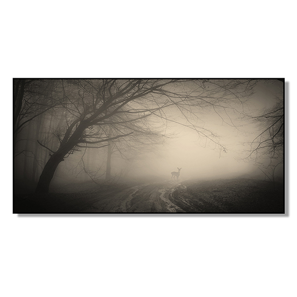 Tranh Cầu Thang Khách Sạn Q31C-6003