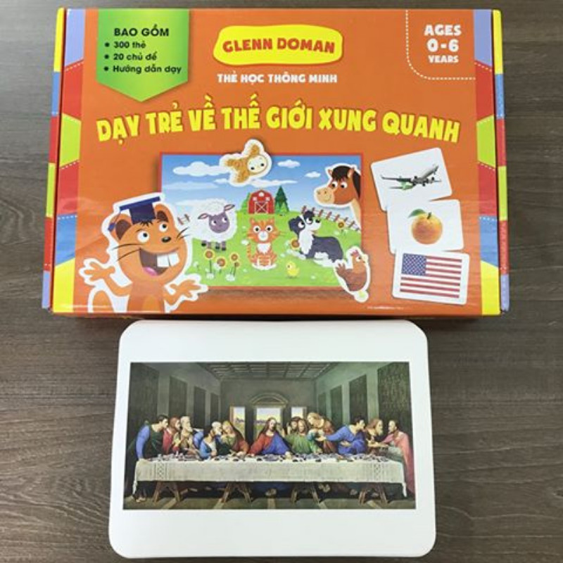 Bộ Thẻ Học Thông Minh Glenn Doman - Bộ 300 Thẻ Thế Giới Xung Quanh