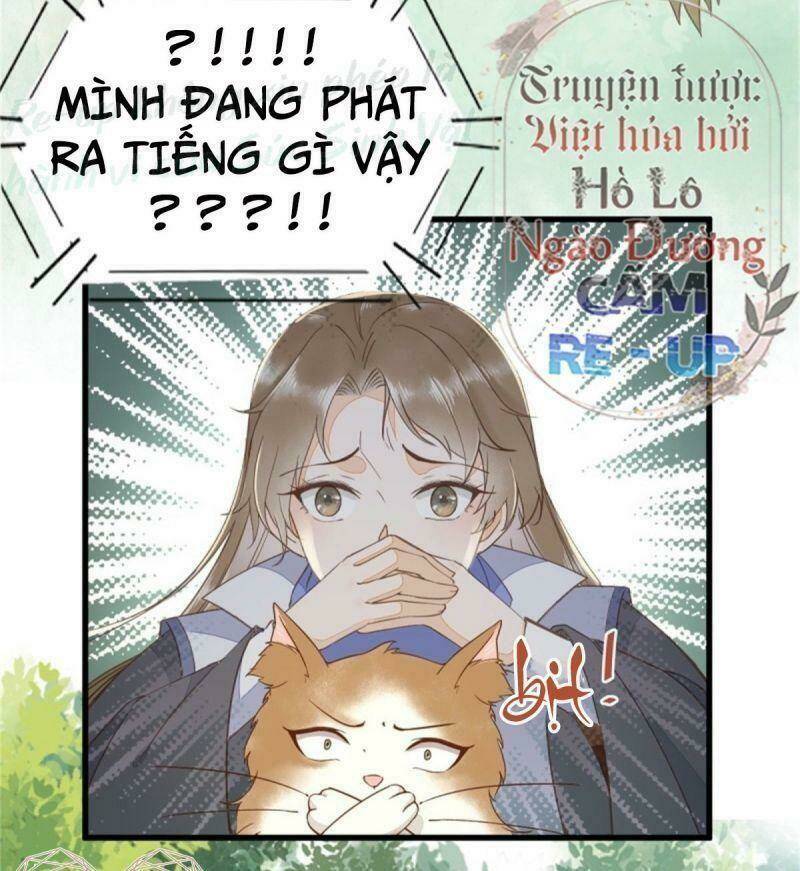 sát thủ vương phi không dễ chọc chapter 30 33