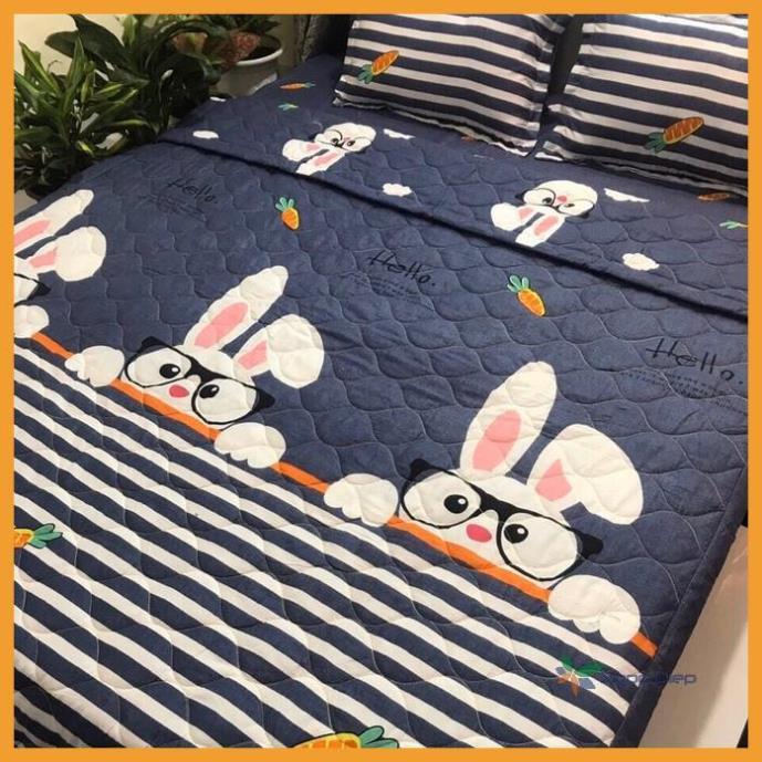 Set 4 Món Chăn Hè Trần Bông Ga Gối Poly Cotton Nhiều Mẫu