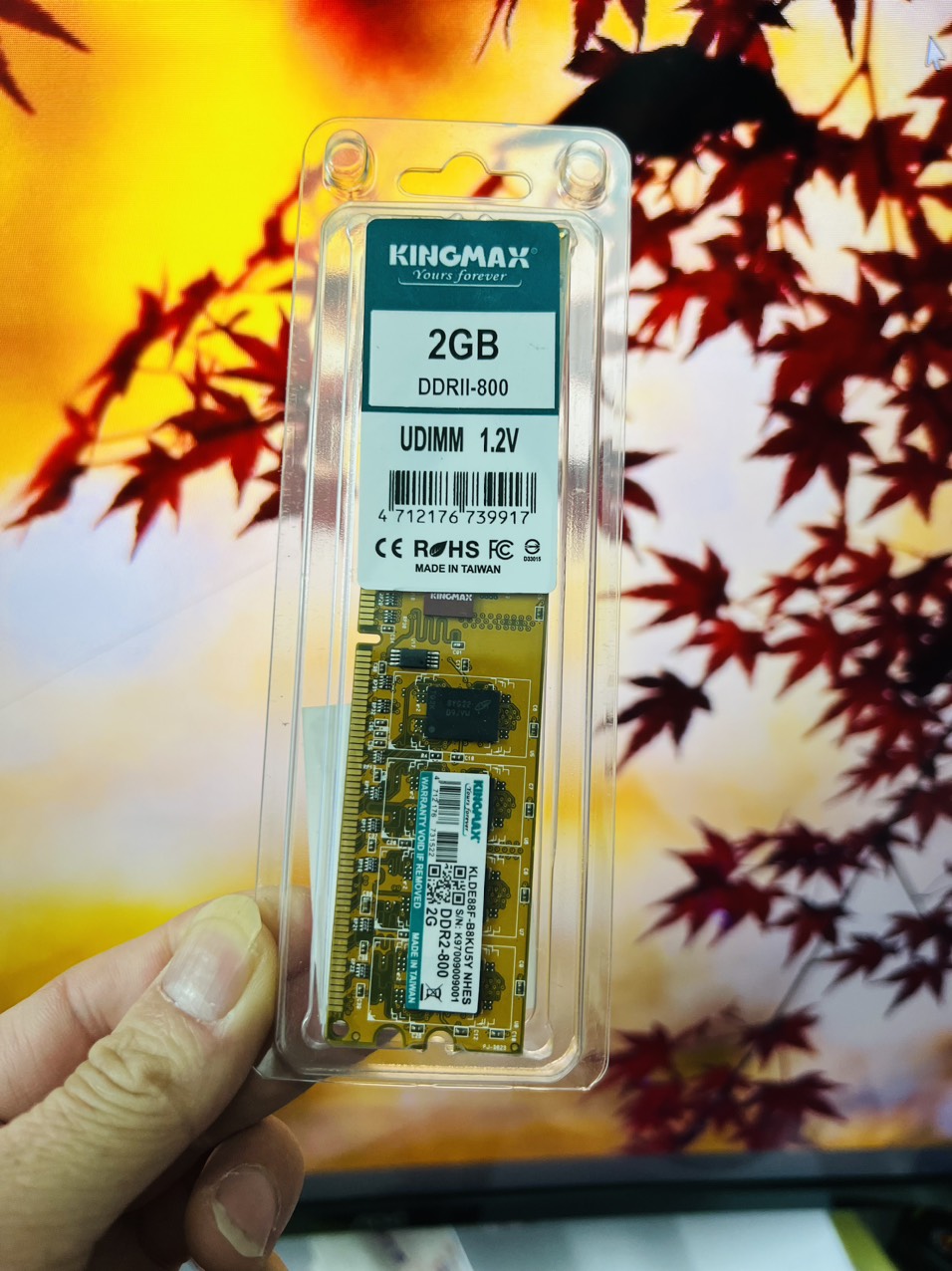 RAM PC 2GB DDR2 - BUS 800 KINGMAX - HÀNG CHÍNH HÃNG