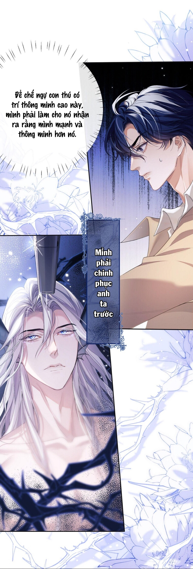 nhân ngư dessaro chapter 4 2