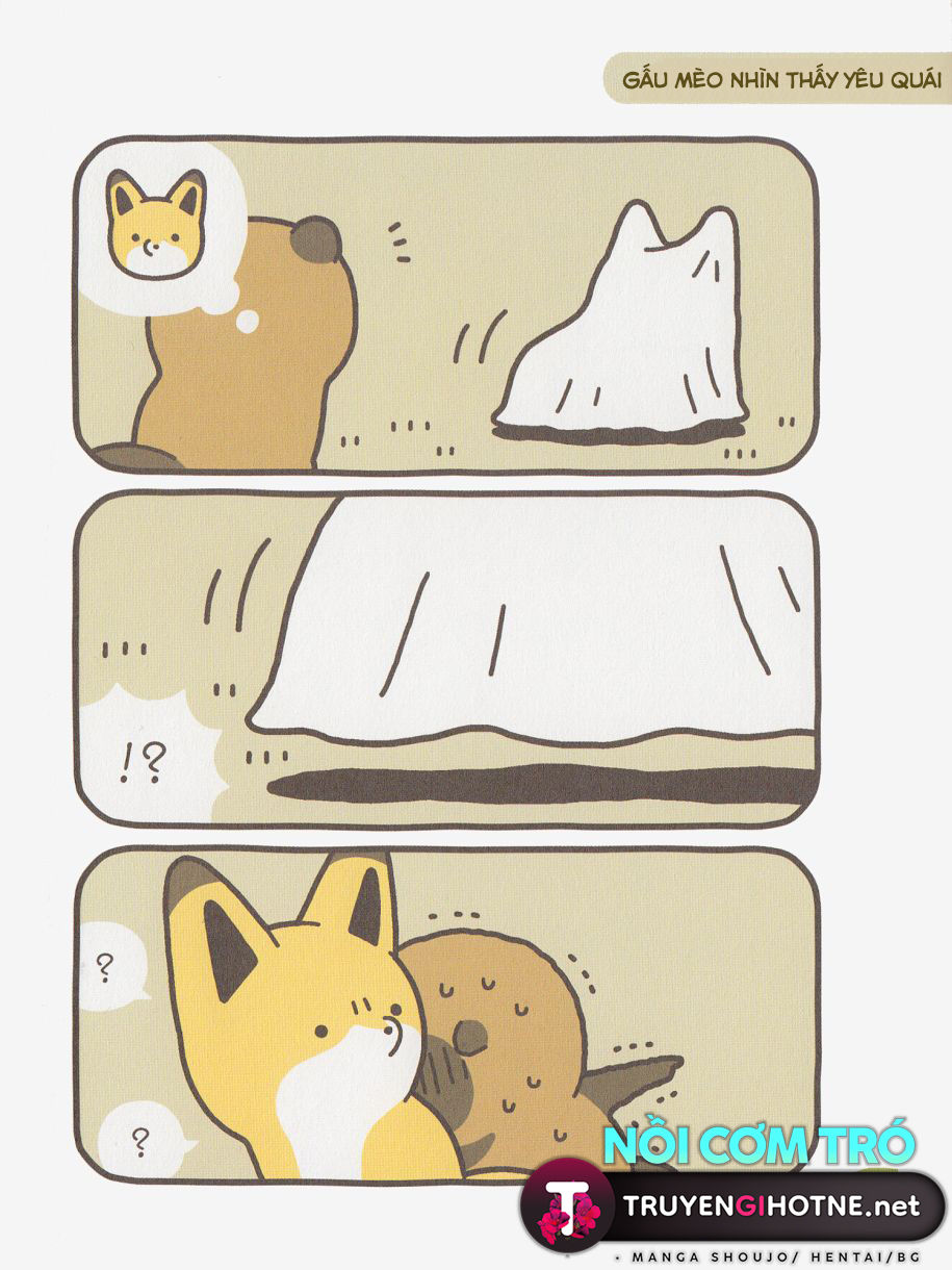 cáo và gấu mèo chapter 7 11