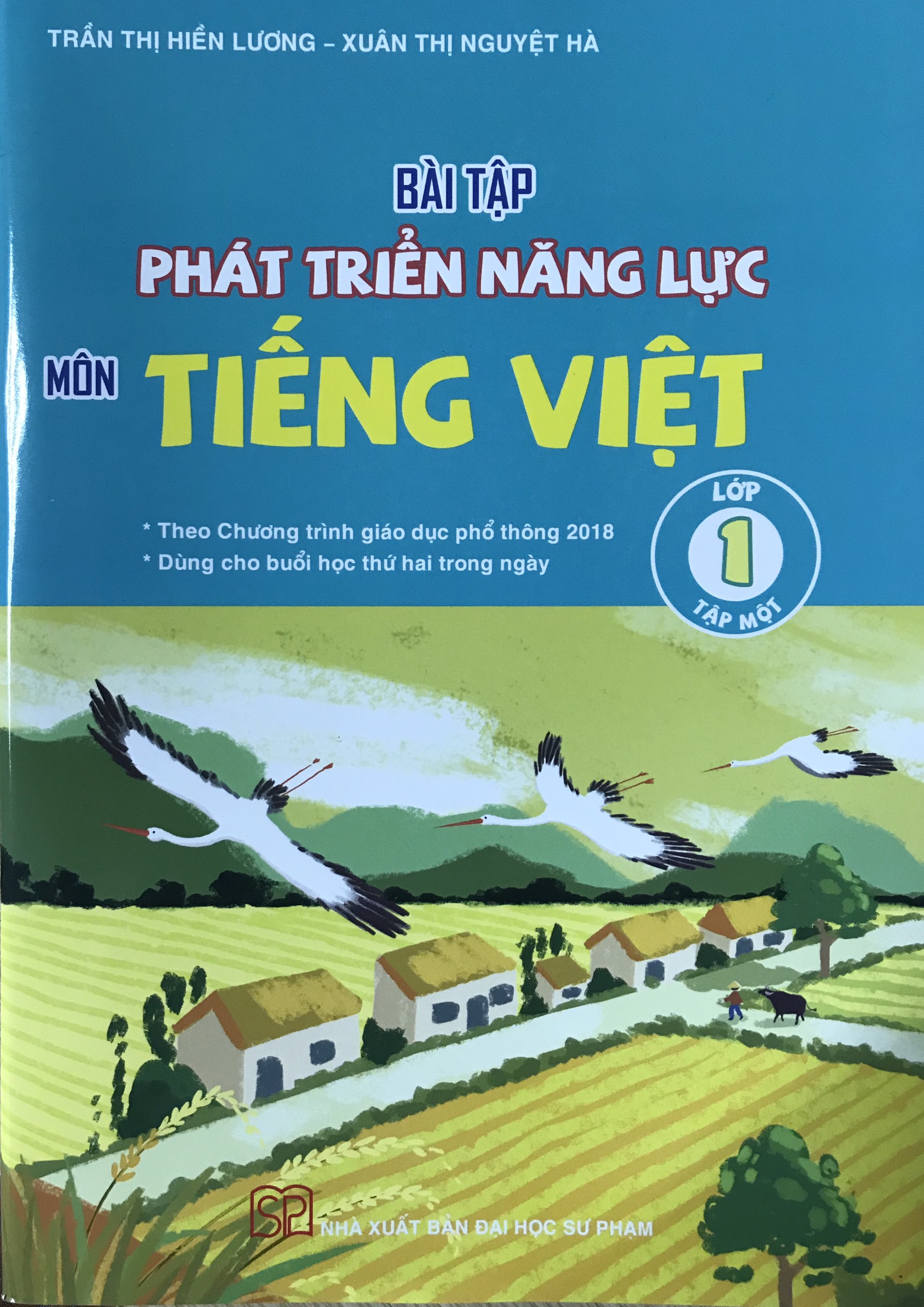 Bộ sách Bài tập Phát triển năng lực Lớp 1 Môn Toán + Tiếng Việt (04 cuốn) Theo chương trình giáo dục phổ thông 2018