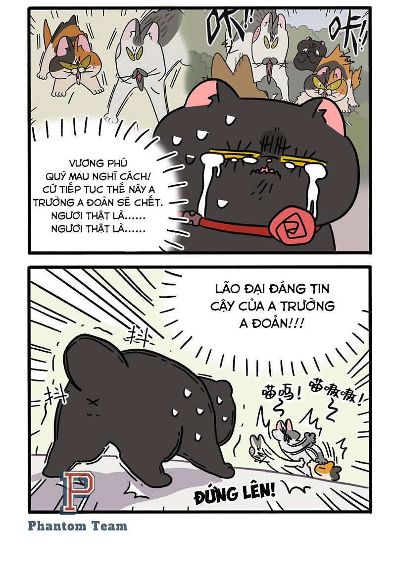 a mãn và mạch trà chapter 40.1 4