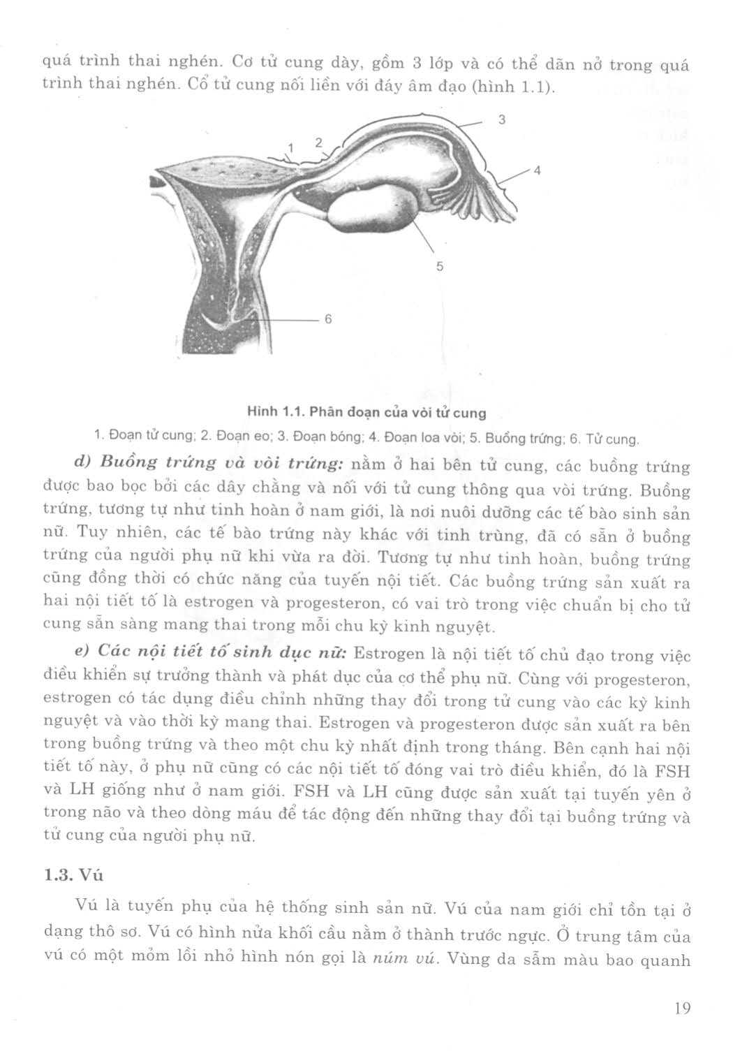 Sức khoẻ sinh sản