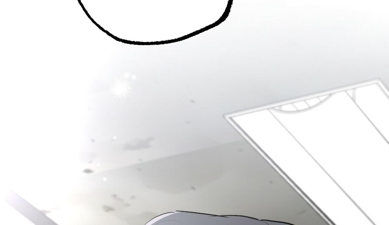 đàn thỏ của habibi chapter 42 266