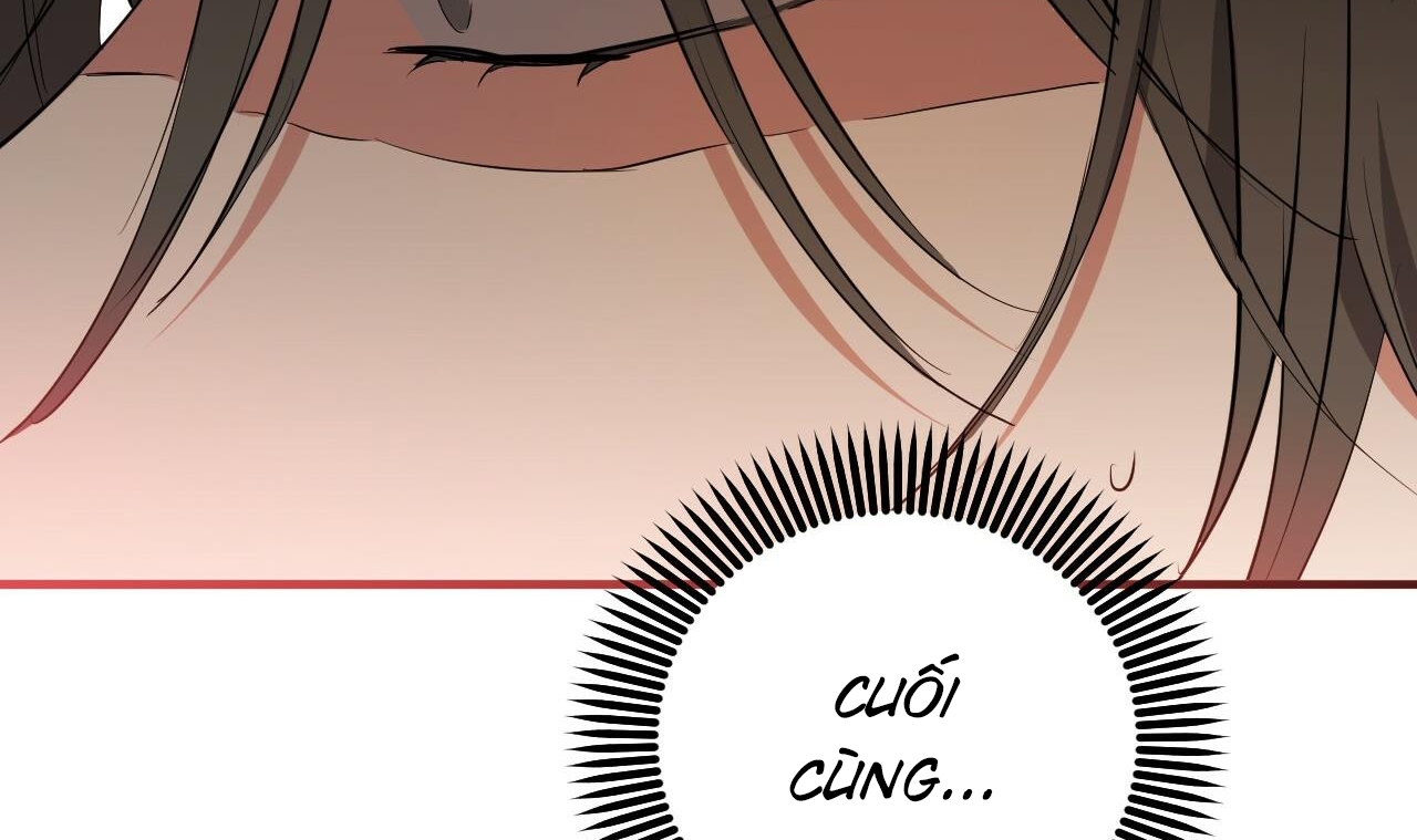 những chú thỏ của hapypy chapter 51 282