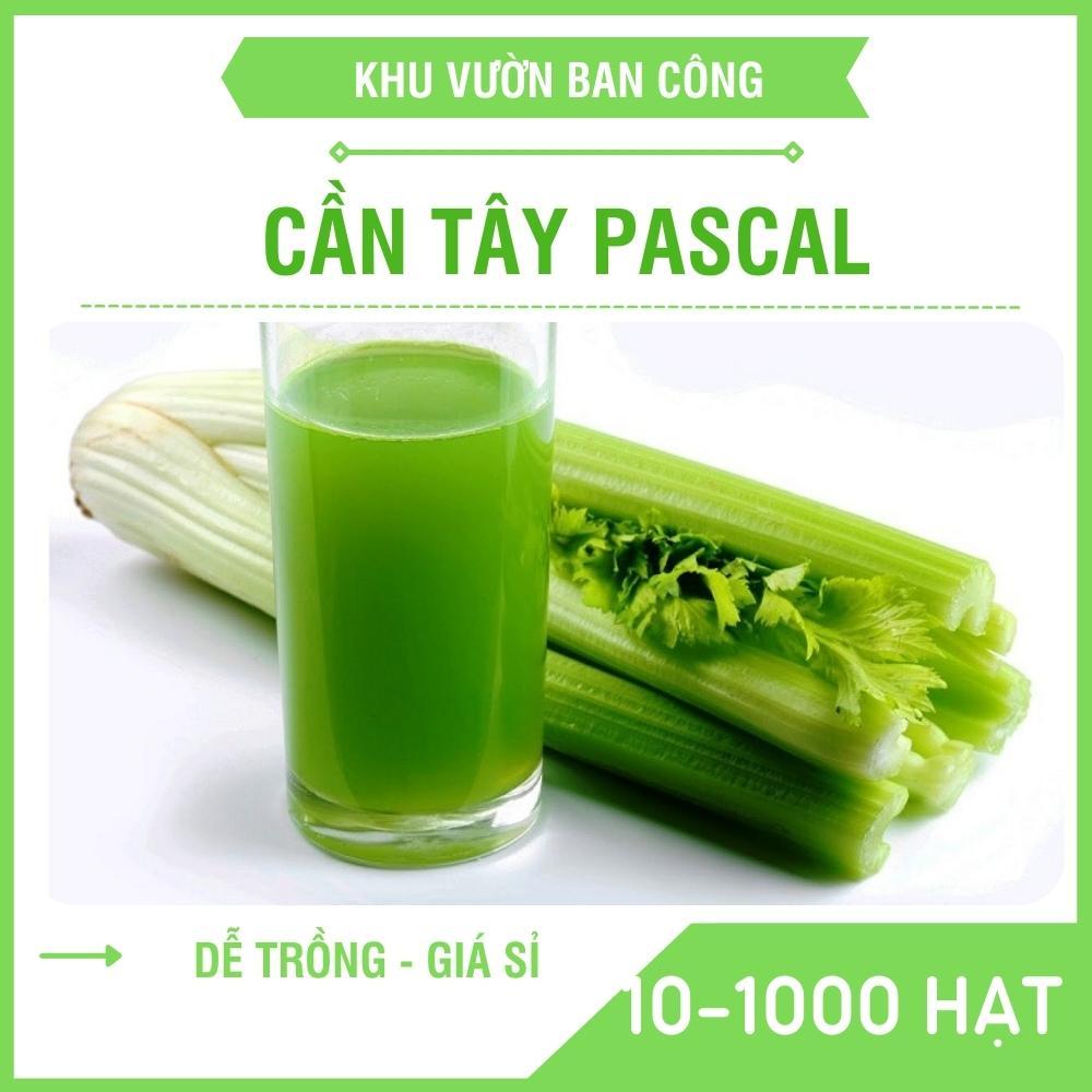 Hạt giống Cần Tây PASCAL Bẹ To Ép Nước Uống, Chịu Nhiệt Xuất Sứ ITALYA - Khu Vườn Ban Công