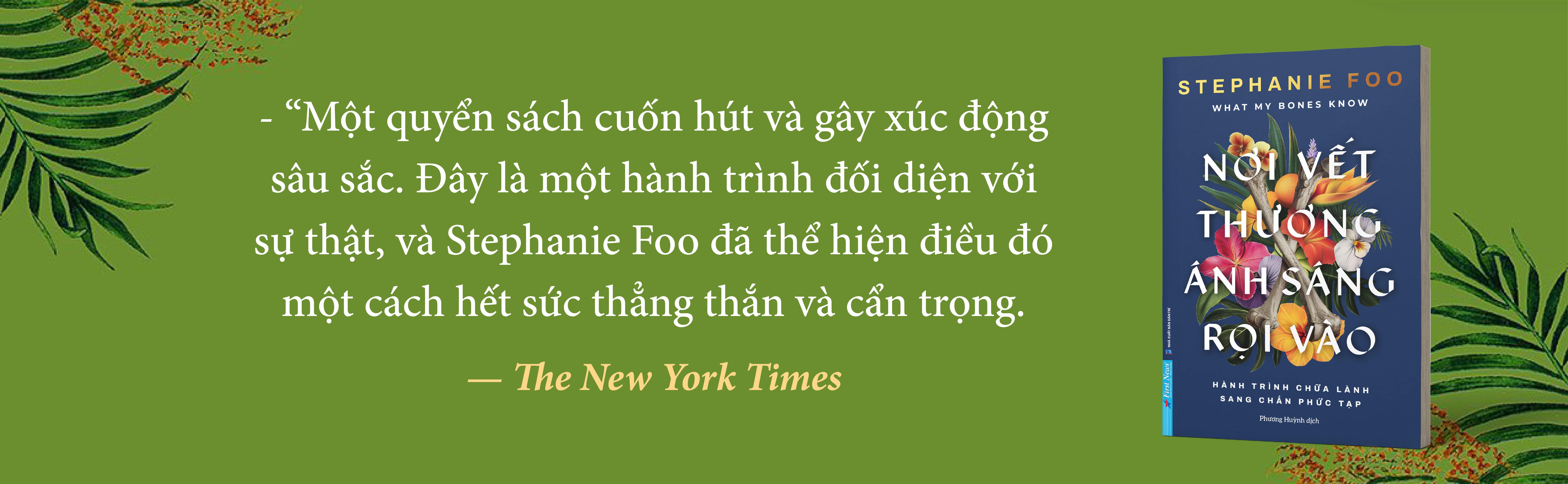 Nơi Vết Thương Ánh Sáng Rọi Vào