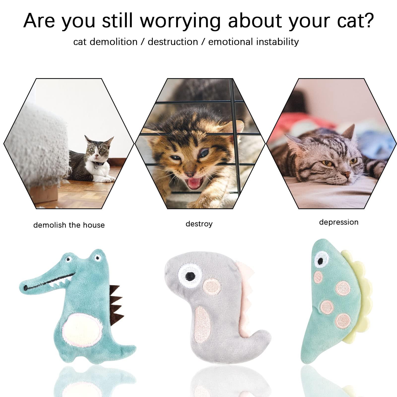 Đồ chơi đồ chơi 6pcs, đồ chơi catnip, đồ chơi nhai cho mèo, đồ chơi mèo tương tác, đồ chơi đệm cỏ mèo, đồ chơi để làm sạch răng cho mèo chaton