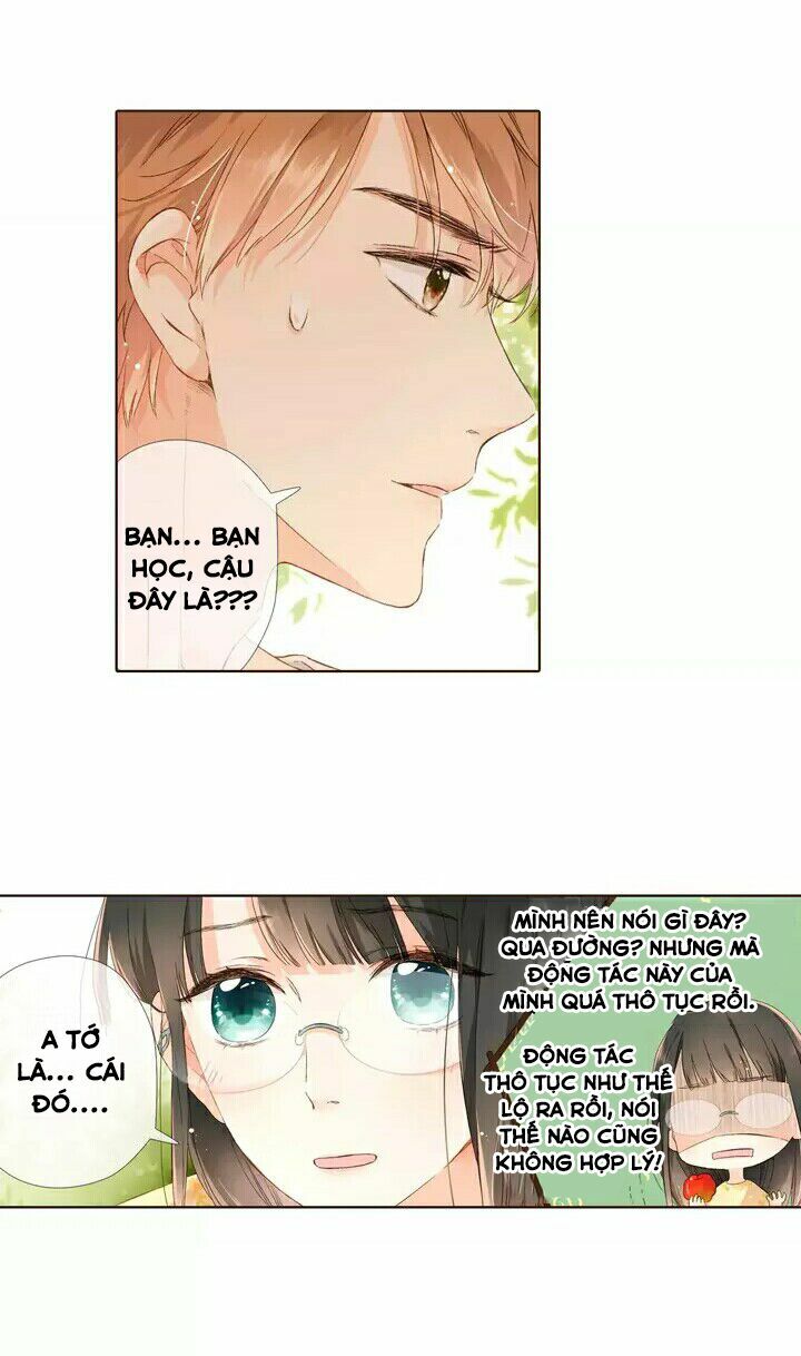 Tình yêu là màu hoa anh thảo chapter 28.2 30