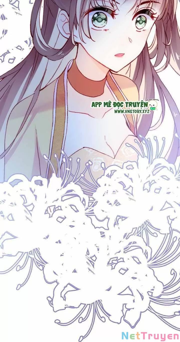 lại bị bệnh chiều chuộng quấn lấy chapter 10 18