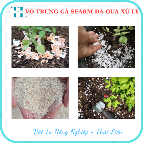 Vỏ Trứng Gà SFARM Cung Cấp Canxi Và Khoáng Chất Cho Cây Trồng - Gói 1KG