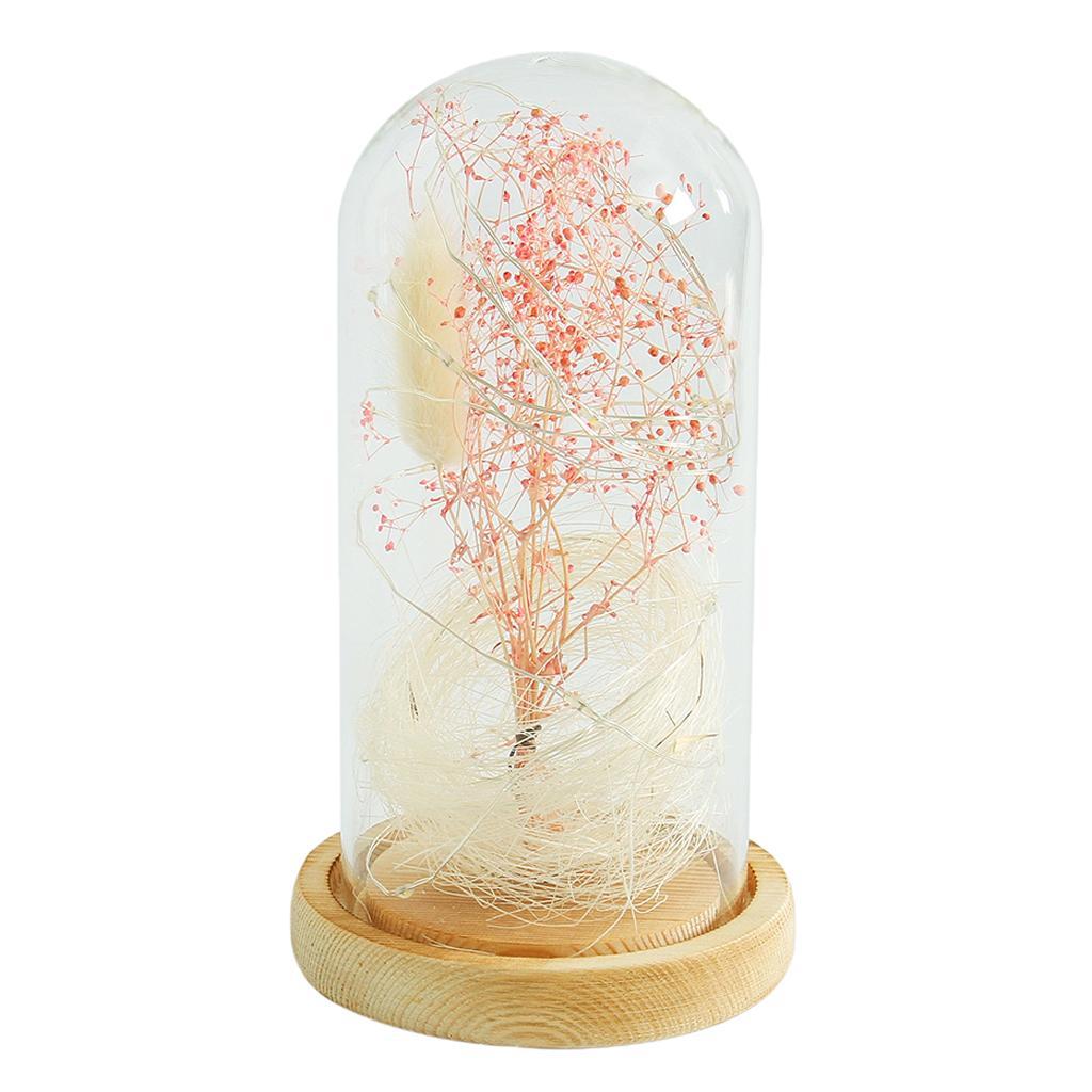 Clear Glass Lamp Night Lamp Ornament Flower LED Light in Glass