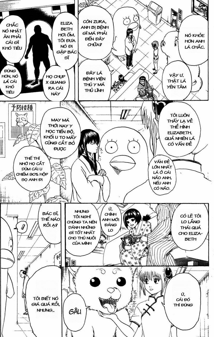 gintama - linh hồn bạc chapter 207 7