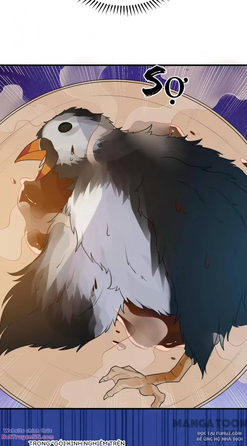 Tôi Sống Trên Hoang Đảo Cùng Các Em Gái chapter 245 31