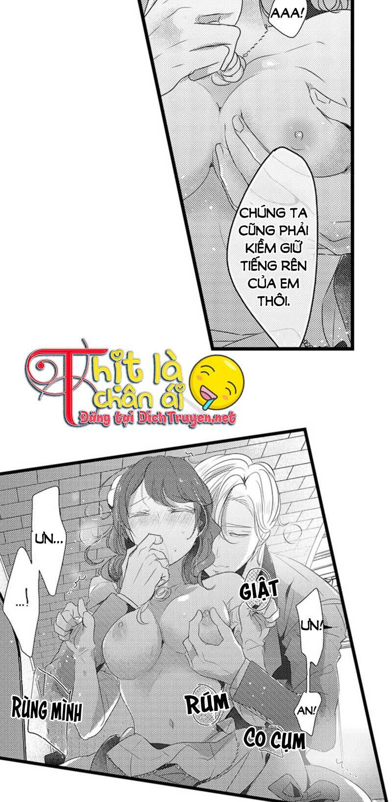 sai rồi, sếp tây nhà tôi không phải là quý ông đâu! chapter 28 11