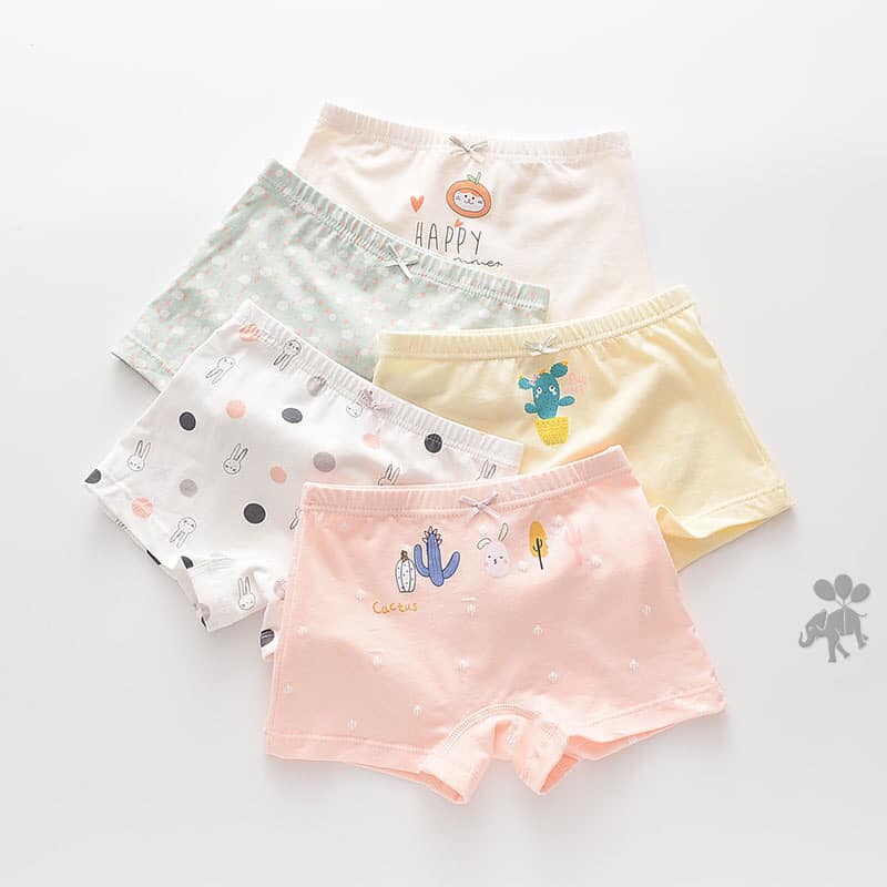 Túi 5 quần chíp đùi sợi cotton siêu mịn cho bé từ 2- 10 tuổi