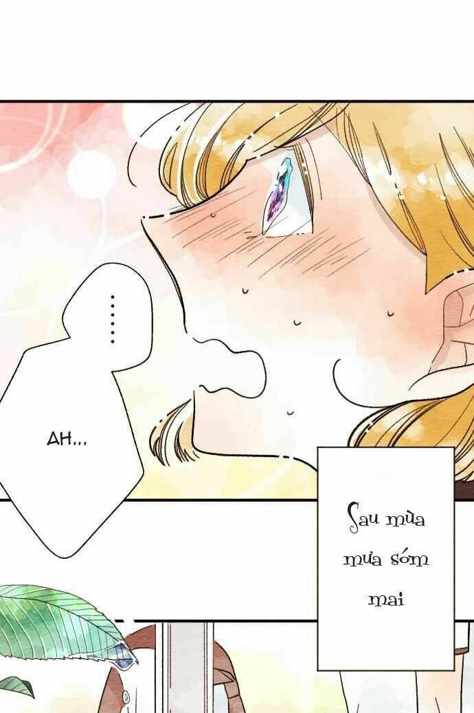 koe koi chapter 13 42