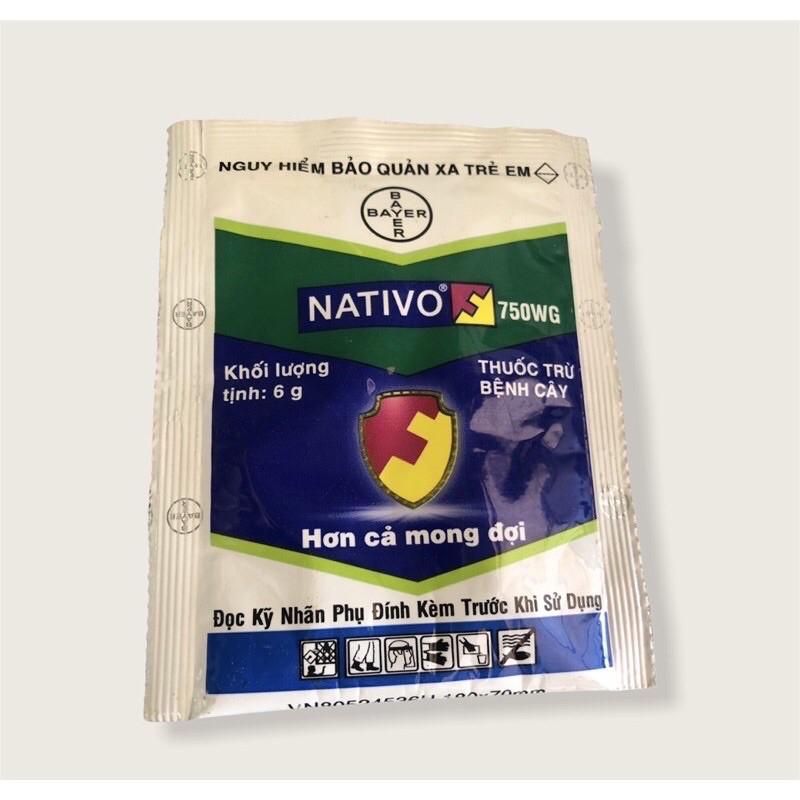 Sản phẩm trừ nấm bệnh Bayer Nativo 750wg 6gam