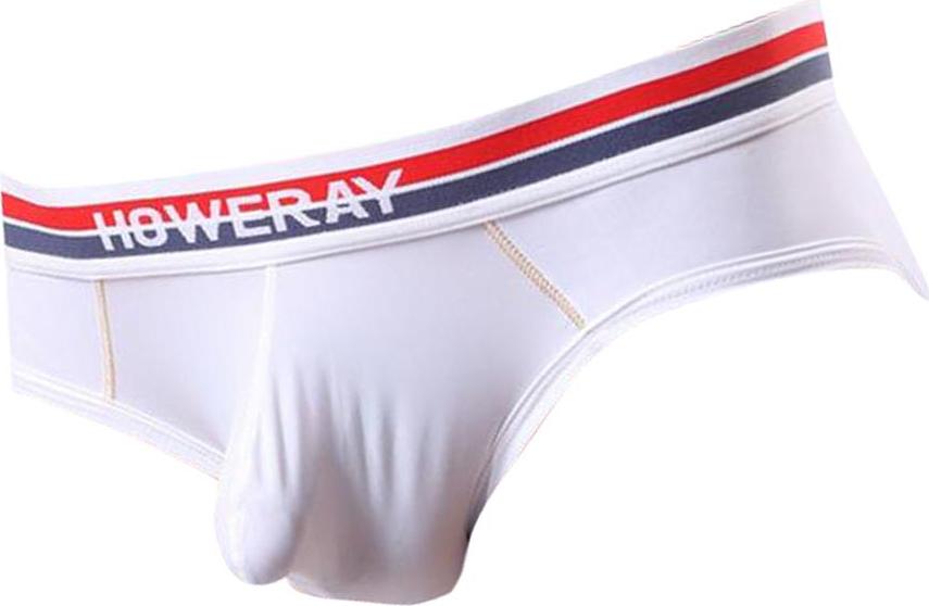 Sexy Men Low Rise Briefs Underwear Panties Underpants Shorts