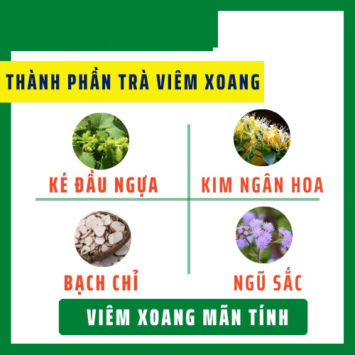 Trà viêm xoang túi lọc