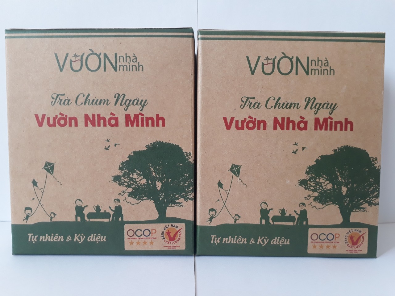 Combo 2 hộp trà chùm ngây túi lọc Vườn Nhà Mình