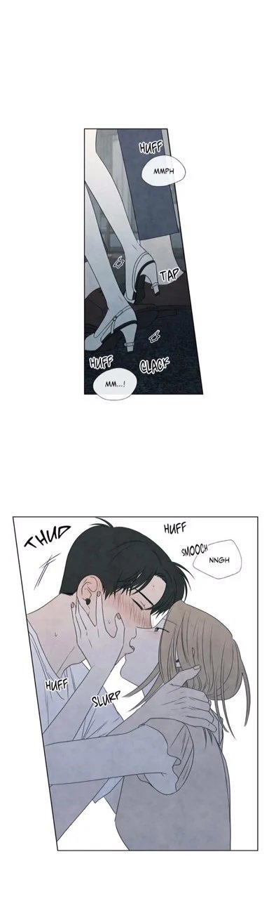 summer solstice point chapter 19 4