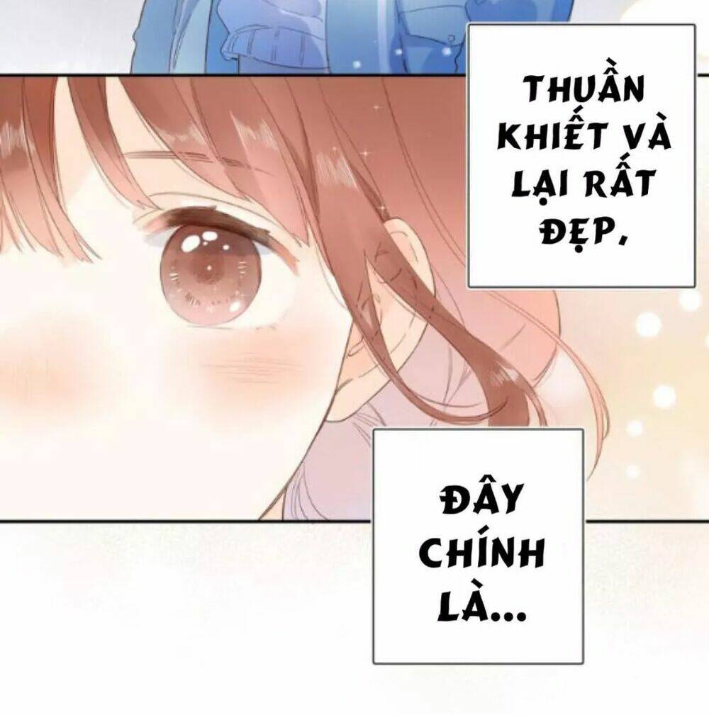 sos! tôi đã yêu một con sâu bướm (phần 2) chapter 58 71