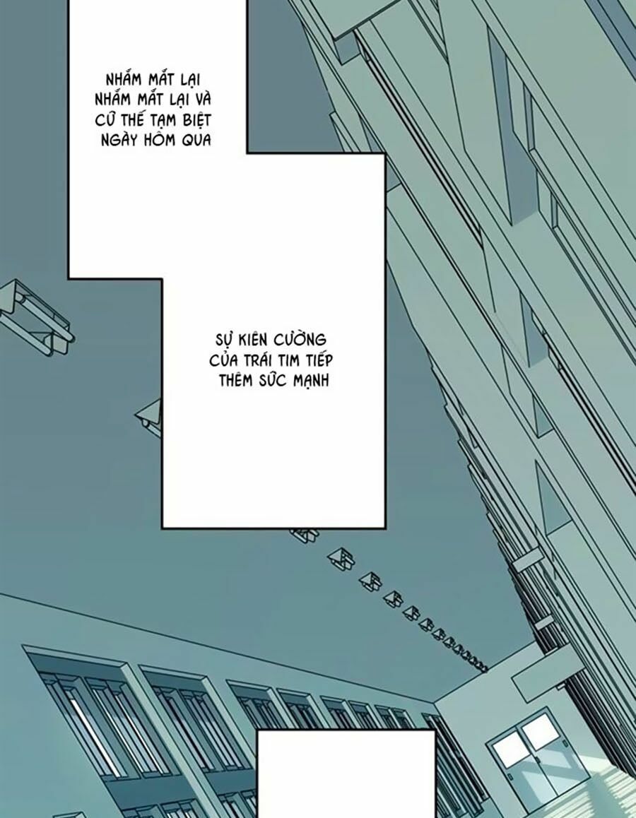 bài ca tình yêu chapter 8 38