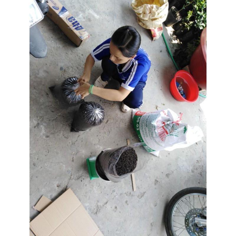 0,5kg phân dơi nguyên thủy dành cho cây chúc rất thích.