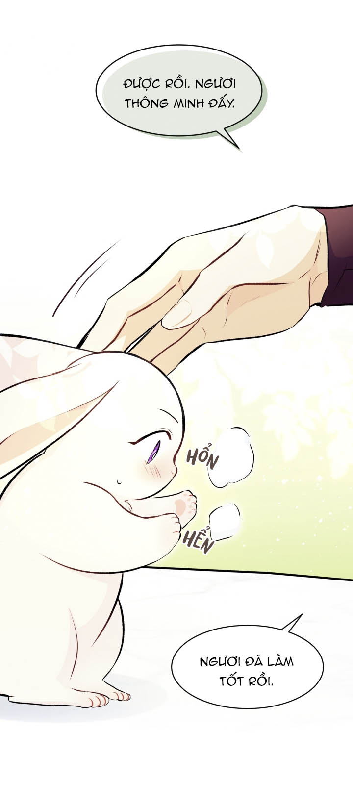 mối liên kết giữa báo đen và bé thỏ chapter 6 19