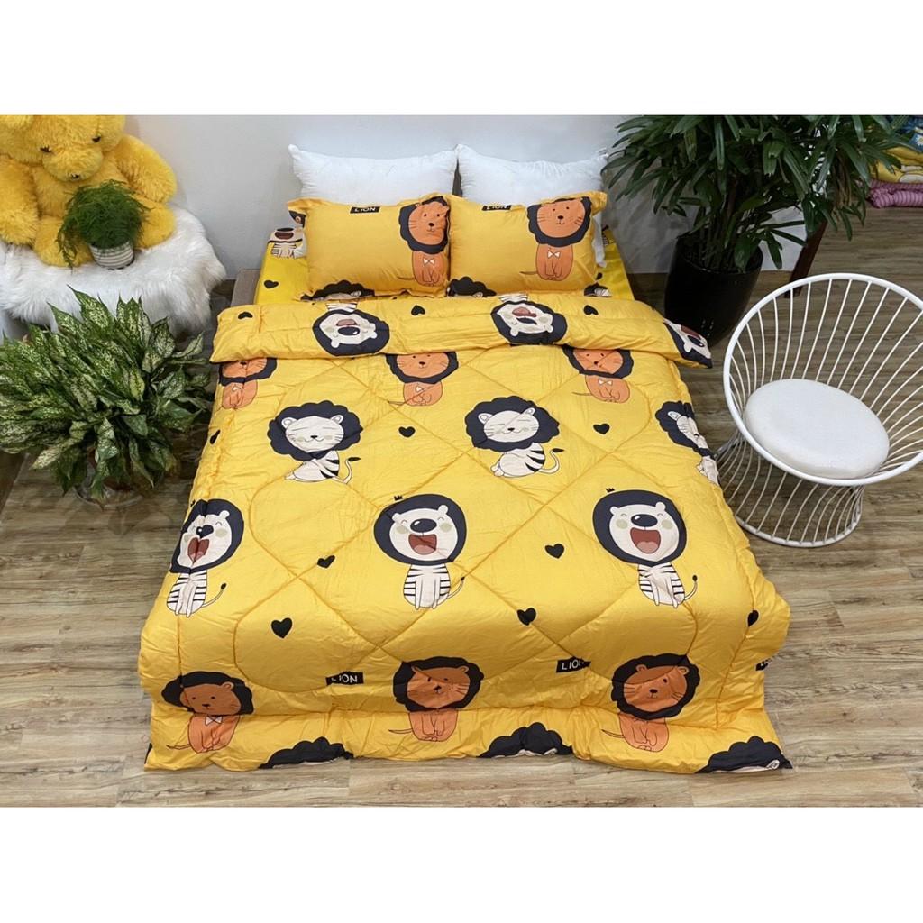 Bộ ga poly côtng 5 món nhiều mẫu cho giường 1m6*2m