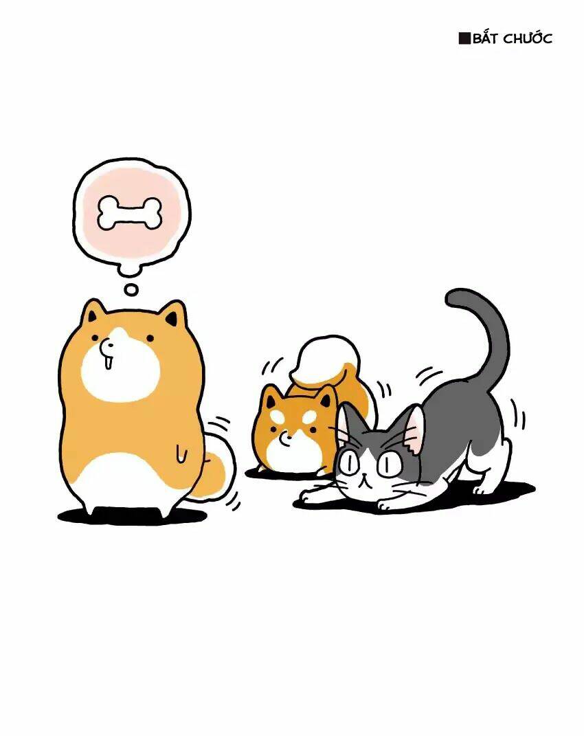 taru shiba chapter 4 15