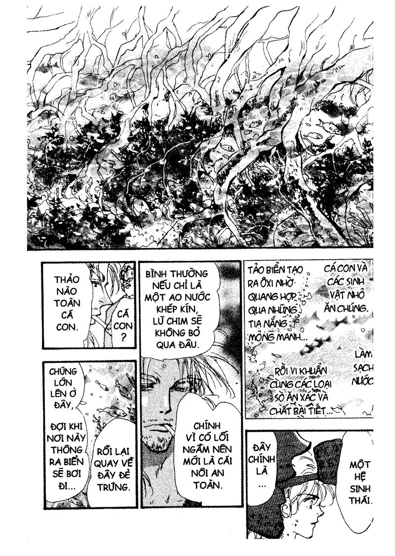 mầm sống chapter 61 24