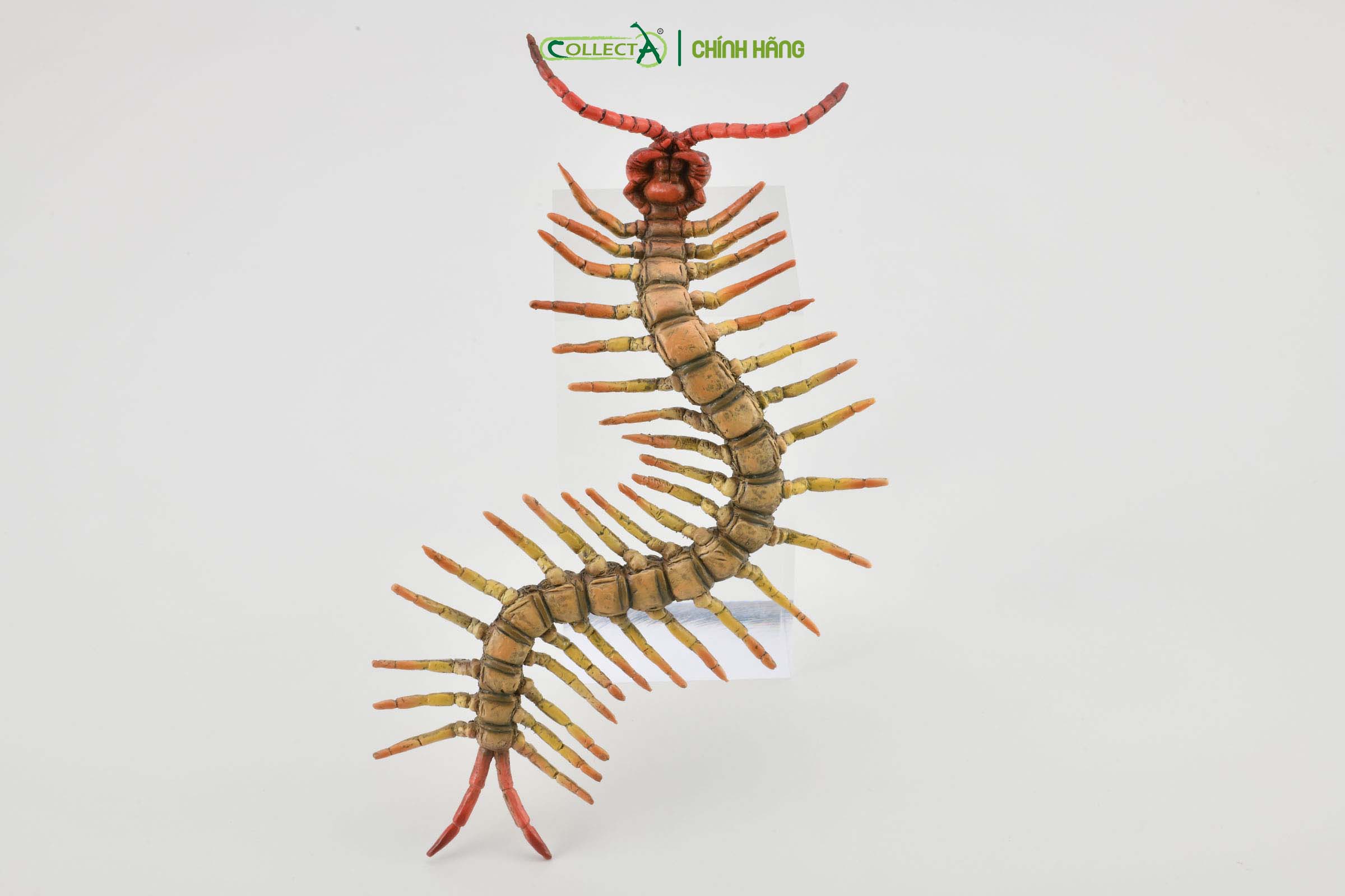 Mô hình thu nhỏ: Rết - Centipede, hiệu: CollectA, mã HS 9653040 [88885] -  Chất liệu an toàn cho trẻ - Hàng chính hãng