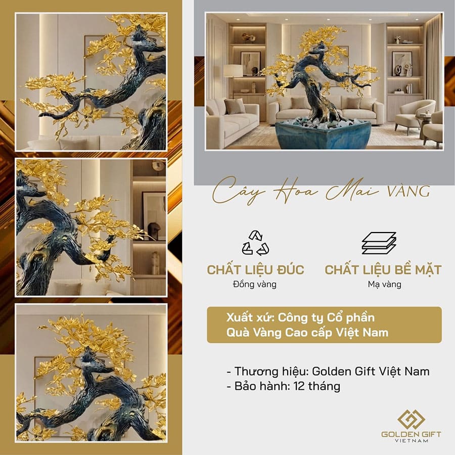 Cây Hoa Mai Ngũ Phúc