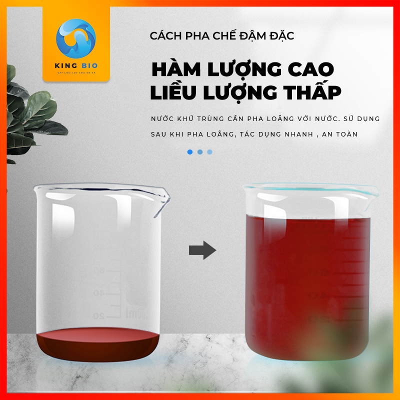 Yee Sterilization chế phẩm sinh học ngăn ngừa và loại bỏ các vấn đề do vi khuẩn gây ra cho cá cảnh