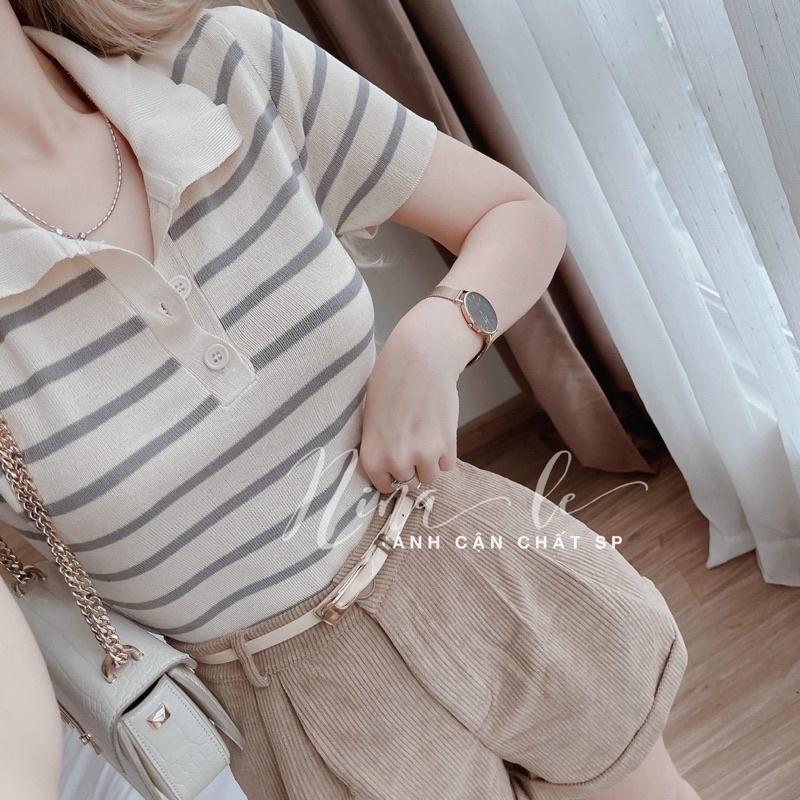 Áo len nữ Montoghi dệt kim Quảng Châu logo ONG CD kẻ sọc cổ bẻ phối nút thêu thanh lịch và năng động