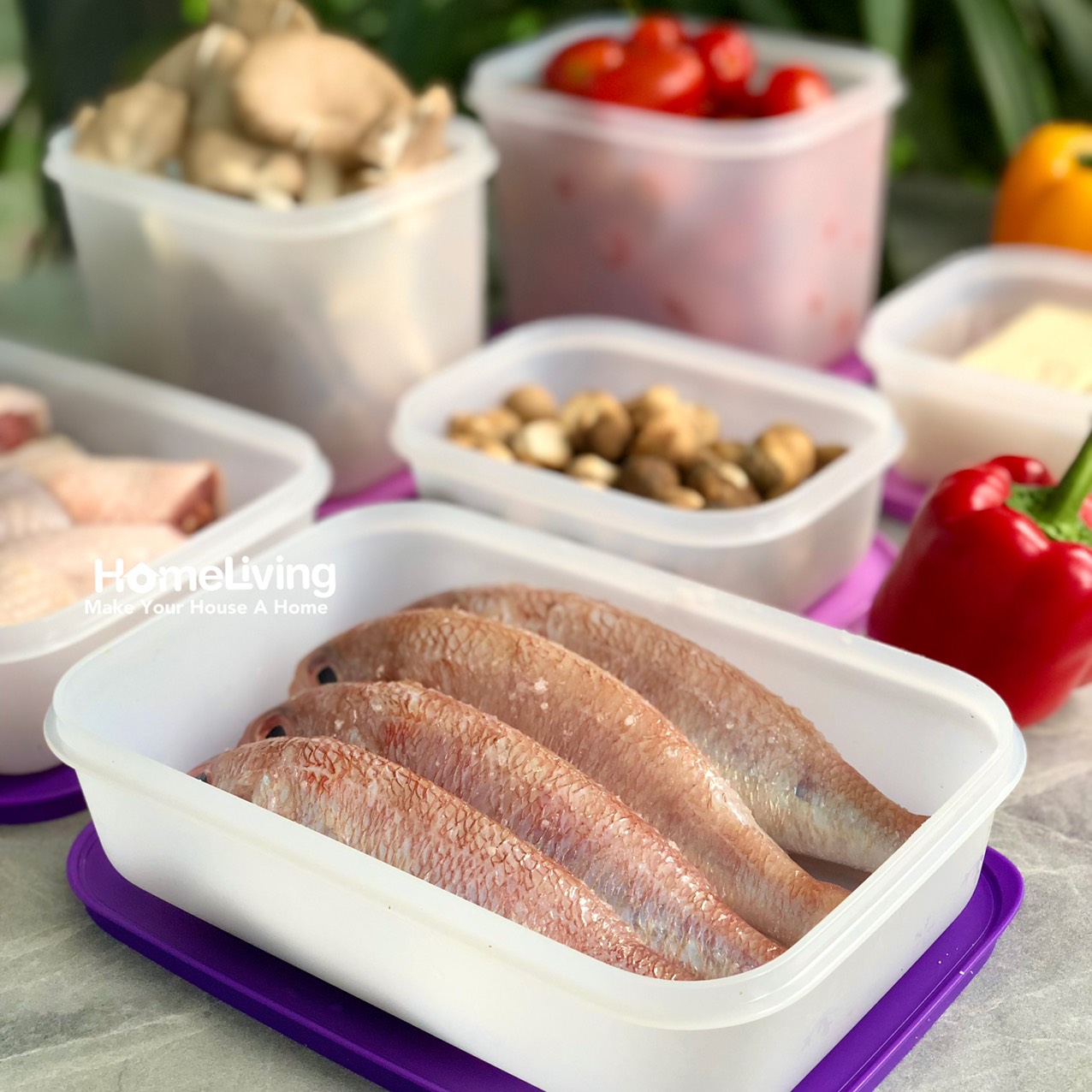 Bộ Trữ Đông Tupperware Freezermate Violet Set 6