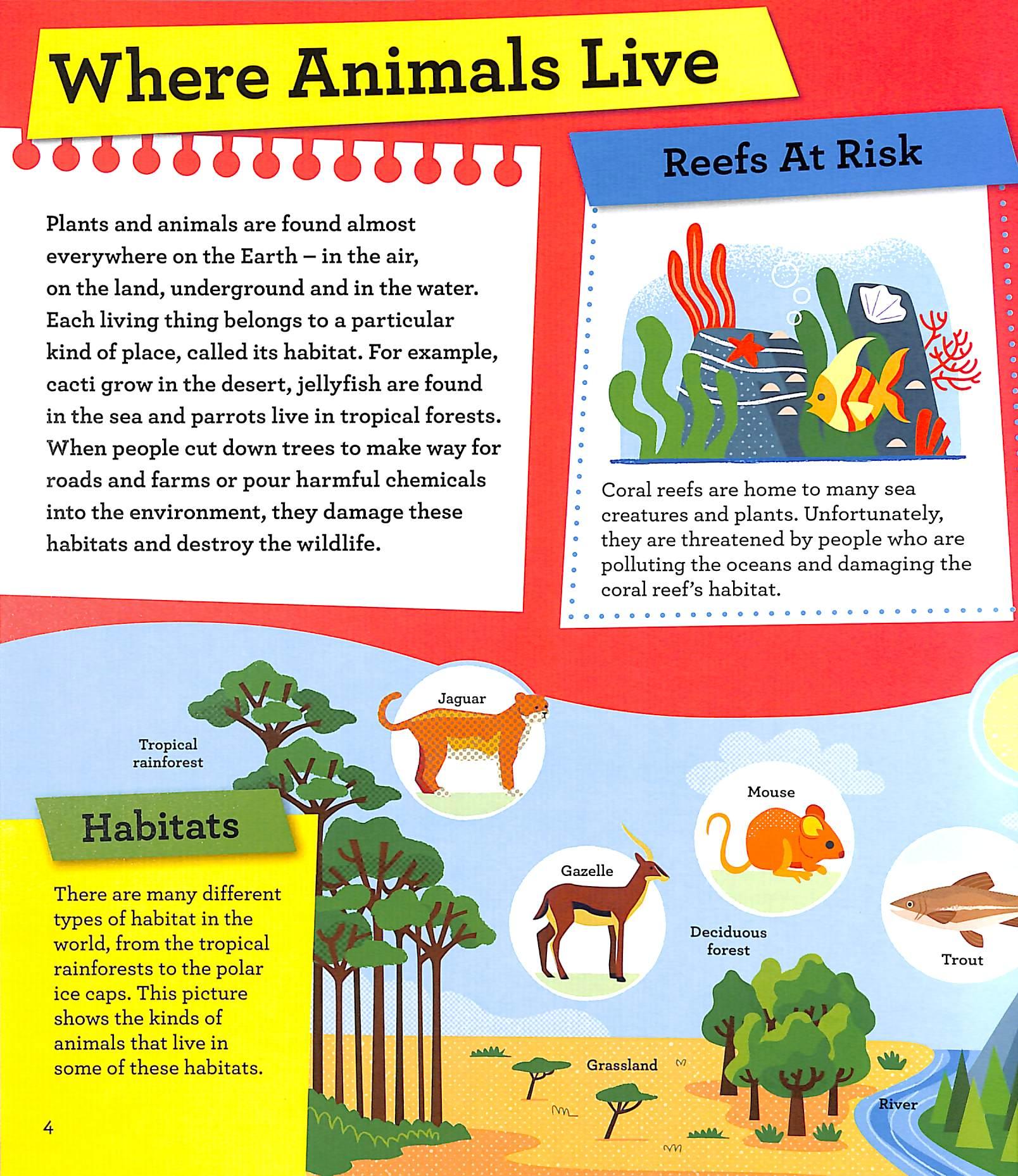 Sách ngoại văn: Discover It Yourself - Nature At Risk