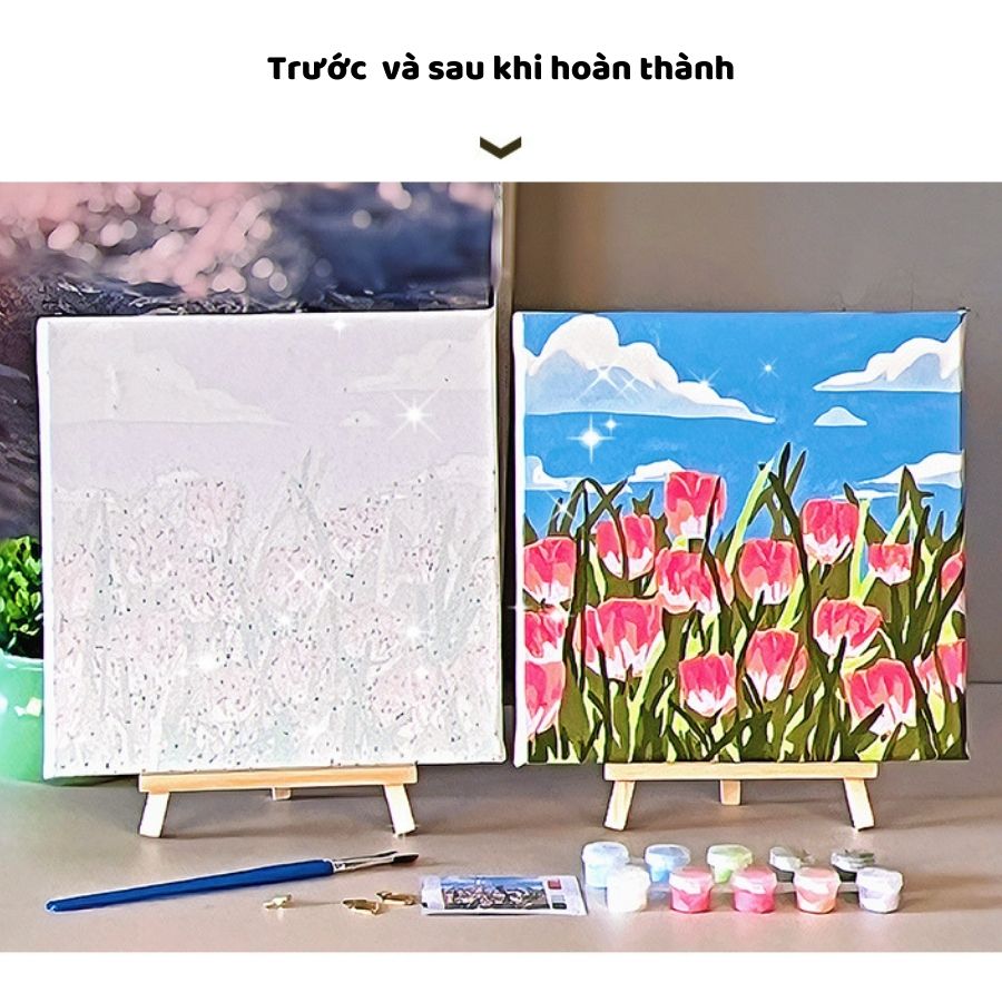 Tranh Tô Màu Theo Số Gấu Lotso, Kuromi, Hoa Mini Mới Size 20x20cm Decor Đơn Giản