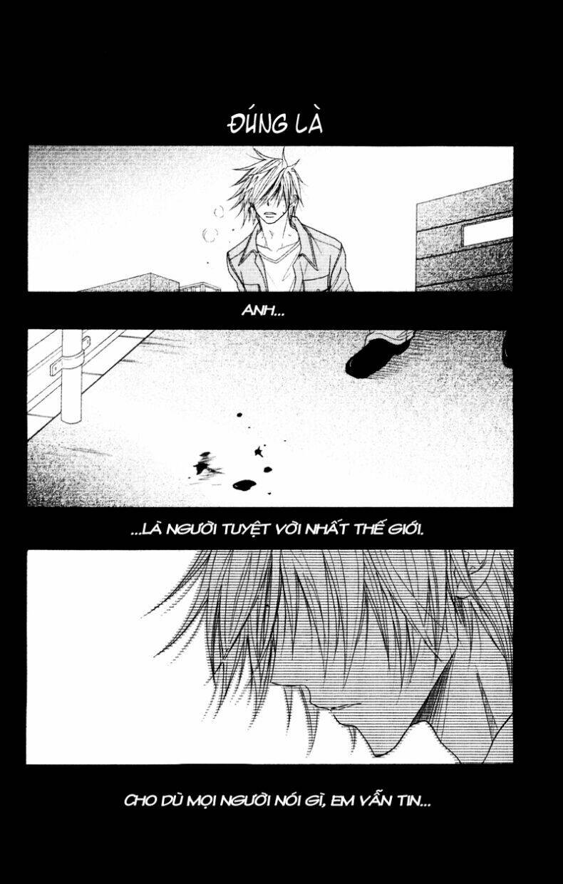 điện kích daisy chapter 25 40