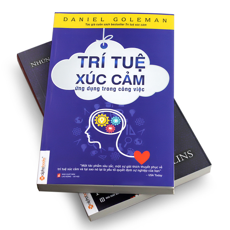 TRÍ TUỆ XÚC CẢM ỨNG DỤNG TRONG CÔNG VIỆC - Daniel Goleman - Nhiều dịch giả - Tái bản - (bìa mềm)