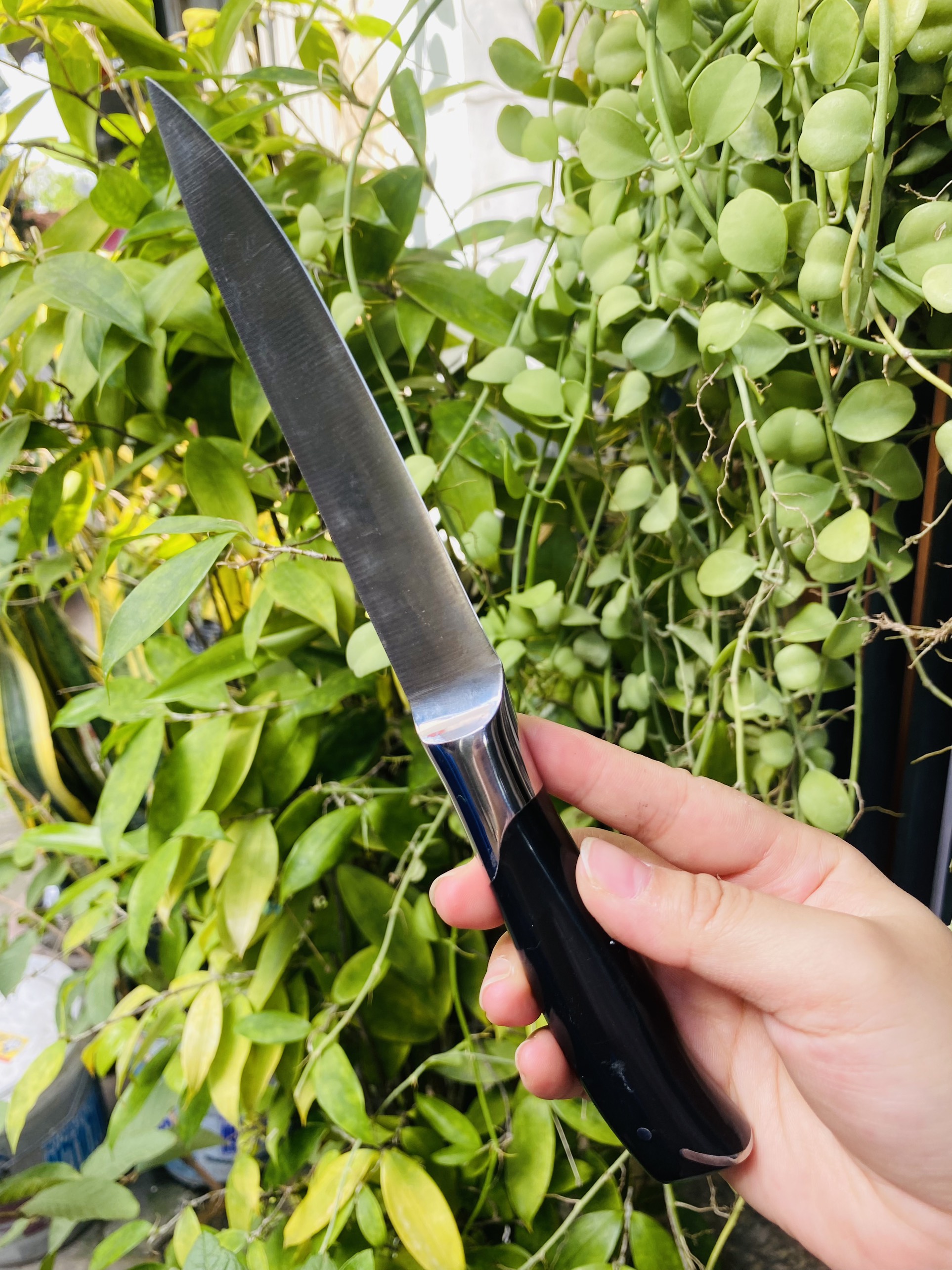 Dao gọt trái cây 23.5cm Đức sắc bền đẹp