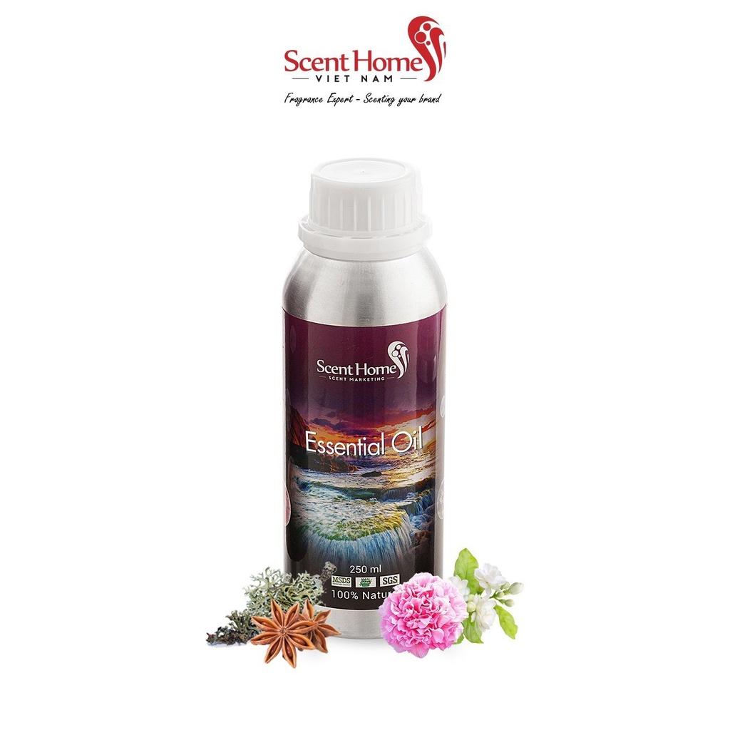 Tinh dầu Scent Homes - mùi hương